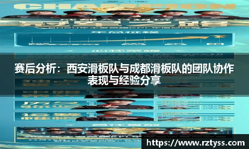 3377体育